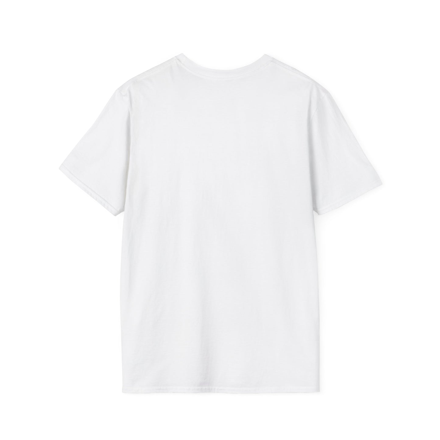 The PERFECT Tee- American Flag Graphic Tee